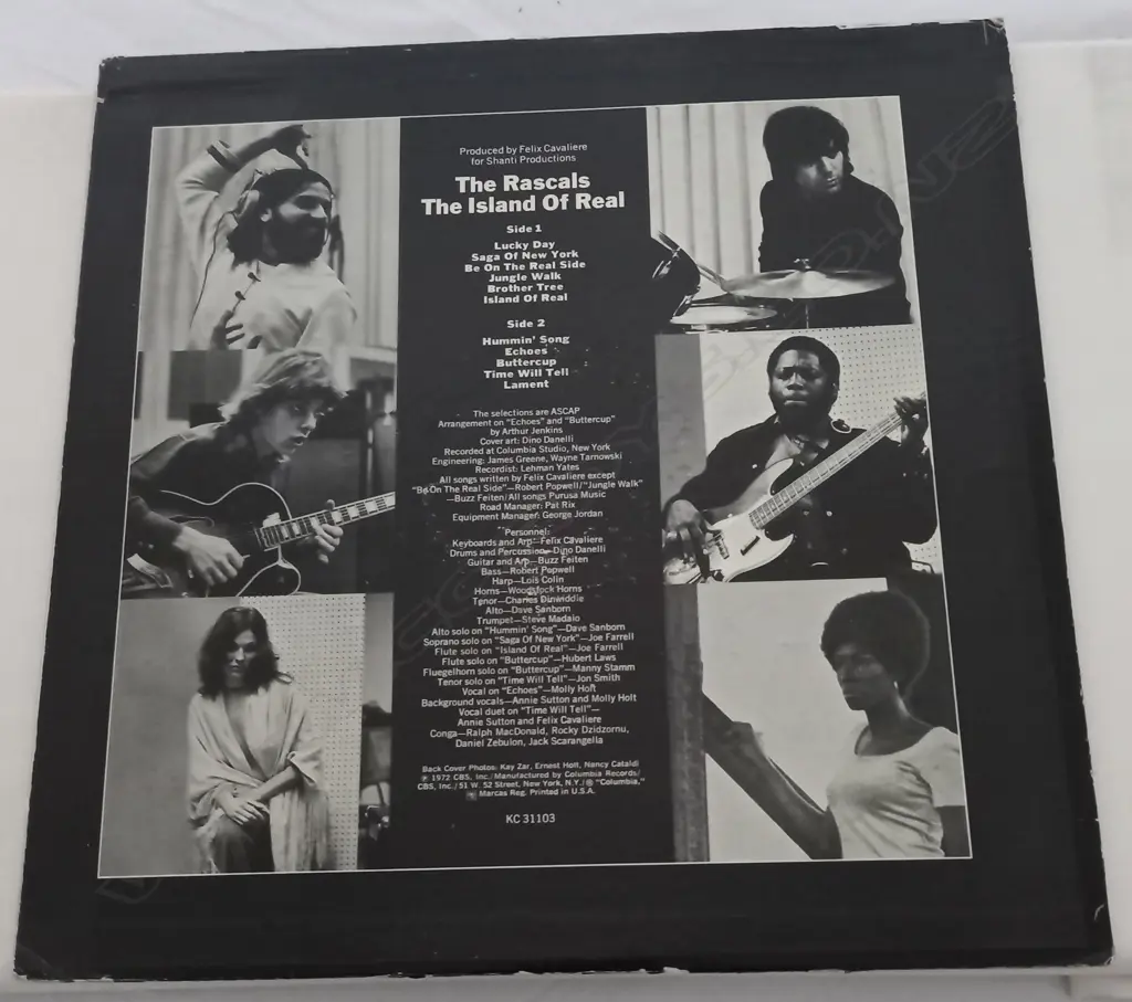 The Rascals, The Island Of Real Image 1++